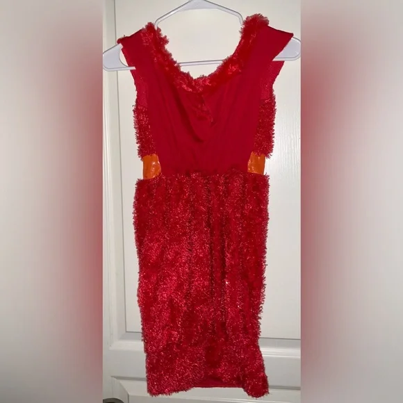 Costume Dress - Picture 3 of 5